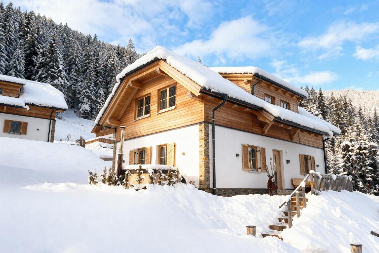 Oostenrijk, Steiermark, Donnersbachwald