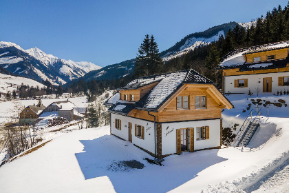 Oostenrijk, Steiermark, Donnersbachwald