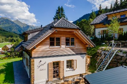 056 Sperlingnest