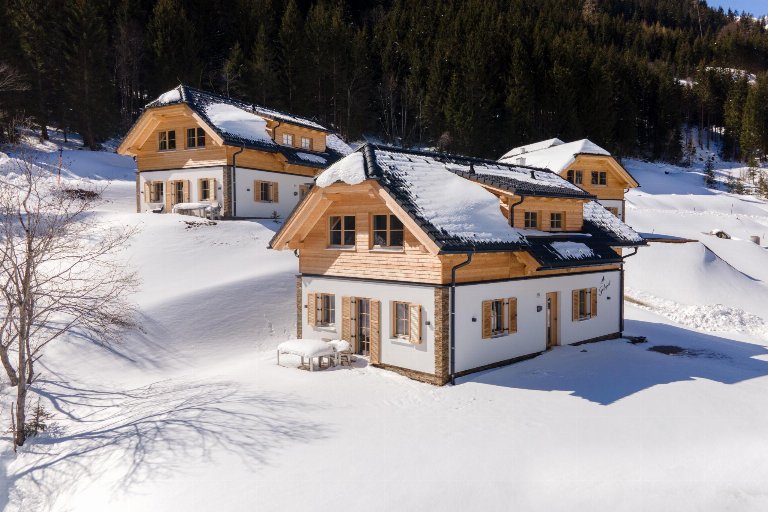 Oostenrijk, Steiermark, Donnersbachwald