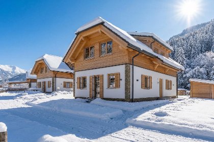 036 Steier Hutte S
