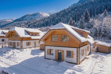 037 Steier Hutte S