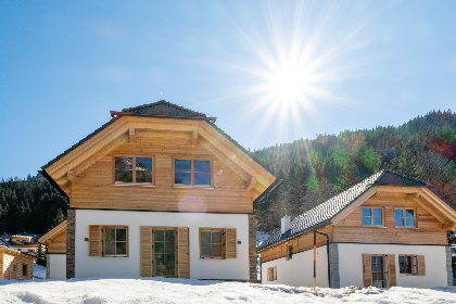 Oostenrijk, Steiermark, Donnersbachwald