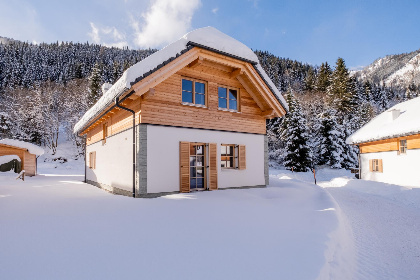 Oostenrijk, Steiermark, Donnersbachwald