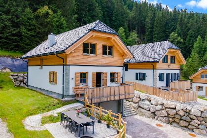 Oostenrijk, Steiermark, Donnersbachwald