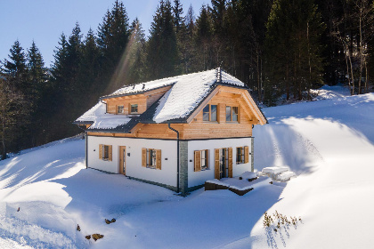 Oostenrijk, Steiermark, Donnersbachwald