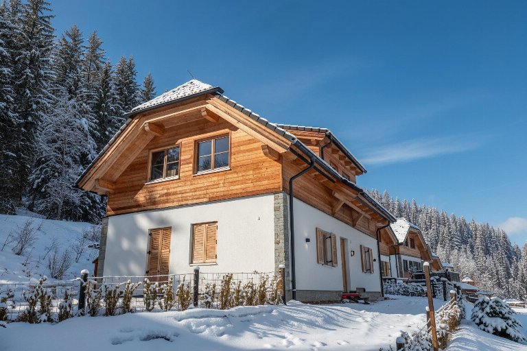 Oostenrijk, Steiermark, Donnersbachwald