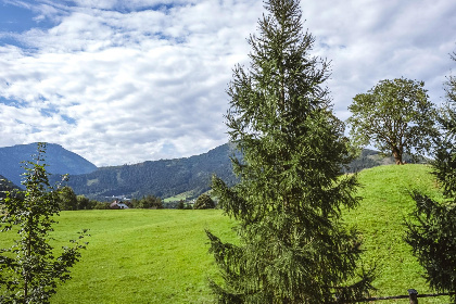 029 Naturpark Chalet Schladming Dachstein