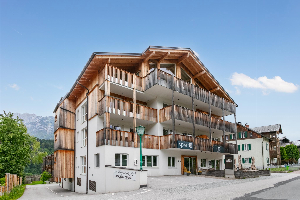 Haus im Ennstal