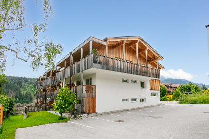 Oostenrijk, Steiermark, Haus im Ennstal