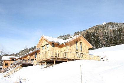 044 Lachende Eule