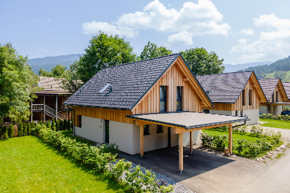 051 Mountain Chalet Arnica