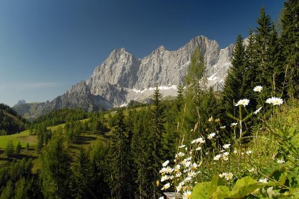 017 Dachstein Grand Alpine Lodge
