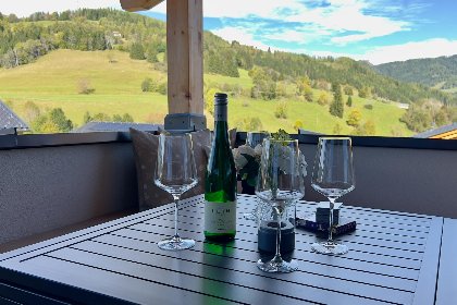 049 Almchalet Alpengluck