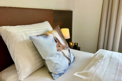 070 Almchalet Alpengluck