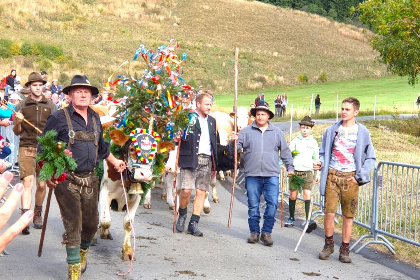 031 Grebenzen Lodge Hirsch