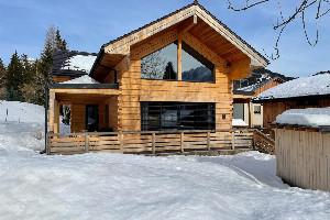 Holzchalet Tauplitz