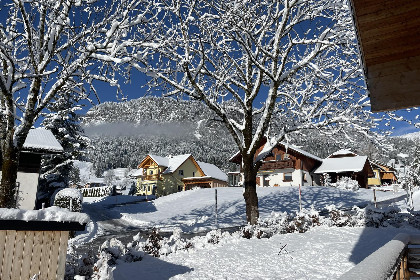 001 Holzchalet Tauplitz