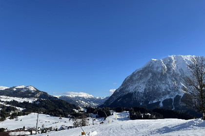 039 Holzchalet Tauplitz