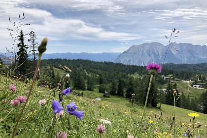 057 Holzchalet Tauplitz