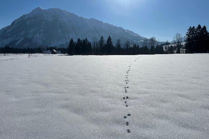 025 Landhaus Alpenblick Tauplitz