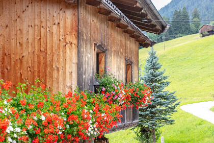 037 Almruhe Alpbach