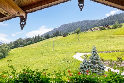 040 Am Bauernhof Top 3