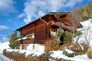 Chalet Alpbach 532