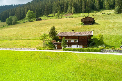 032 Chalet Alpbach 532