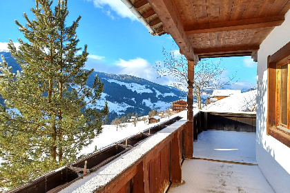 038 Chalet Alpbach 532