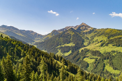 019 EAGGA Niederleger Alm