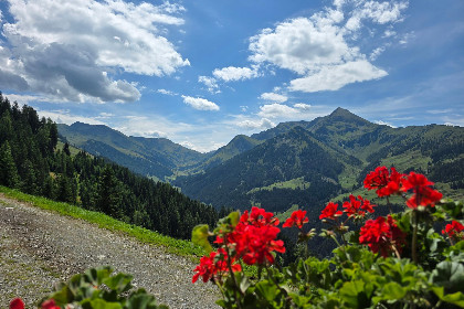 034 EAGGA Niederleger Alm