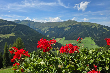 035 EAGGA Niederleger Alm