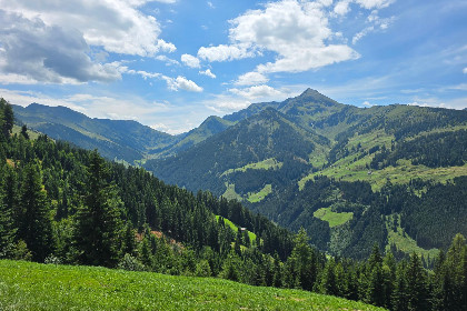 036 EAGGA Niederleger Alm
