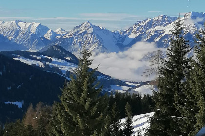 040 EAGGA Niederleger Alm