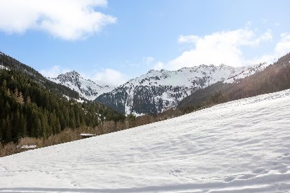 038 Hacklerhof Top 1