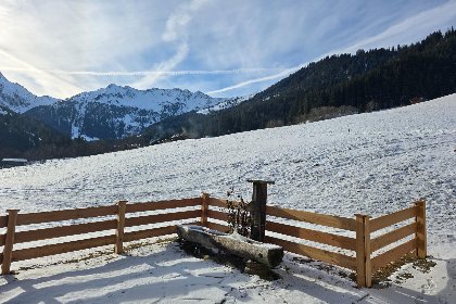 023 Hacklerhof Top 2 und 3