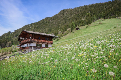 008 Tirola Chalet Alpbach