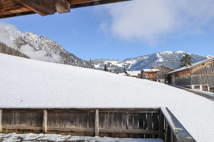 009 Tirola Chalet Alpbach