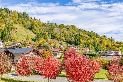 034 Appartement Brixnerwirt I