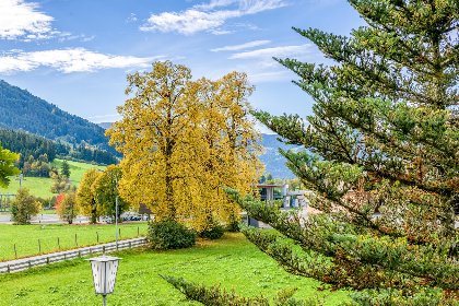 033 Appartement Brixnerwirt II