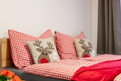 013 Tennerhof Apartments Top 1 und Top 2