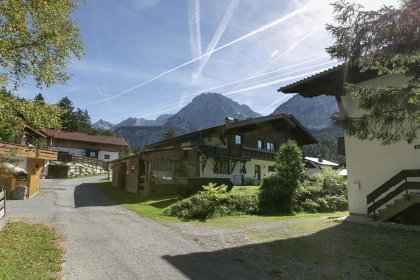 012 Kirschbaum 1