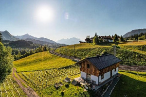 Rebenhaus