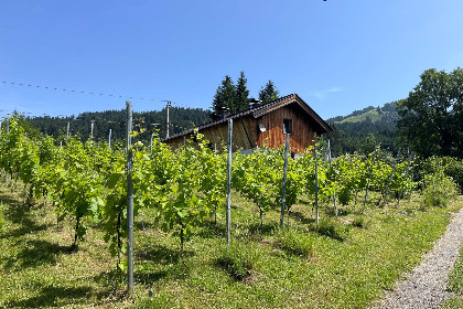 019 Rebenhaus
