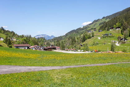 020 Blumenwiese II