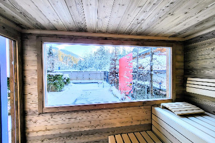 041 Im Wald