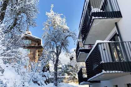 Oostenrijk, Tirol, Hopfgarten im Brixental