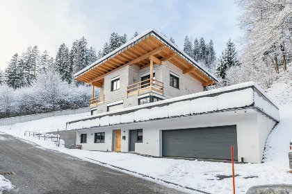 Oostenrijk, Tirol, Hopfgarten im Brixental