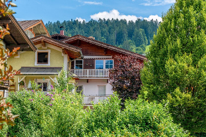 Oostenrijk, Tirol, Hopfgarten im Brixental